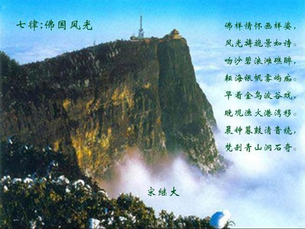 《五香宫的猫》入围柏林电影节 想田和弘执导